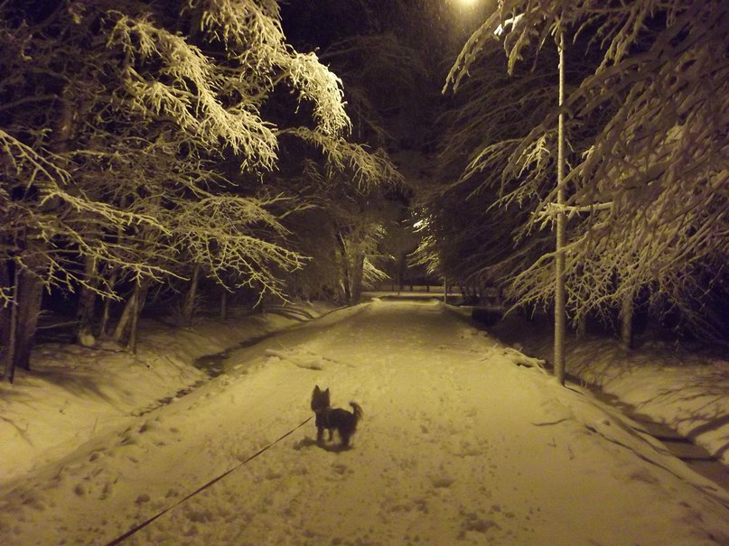 Юля Сивова | Санкт-Петербург