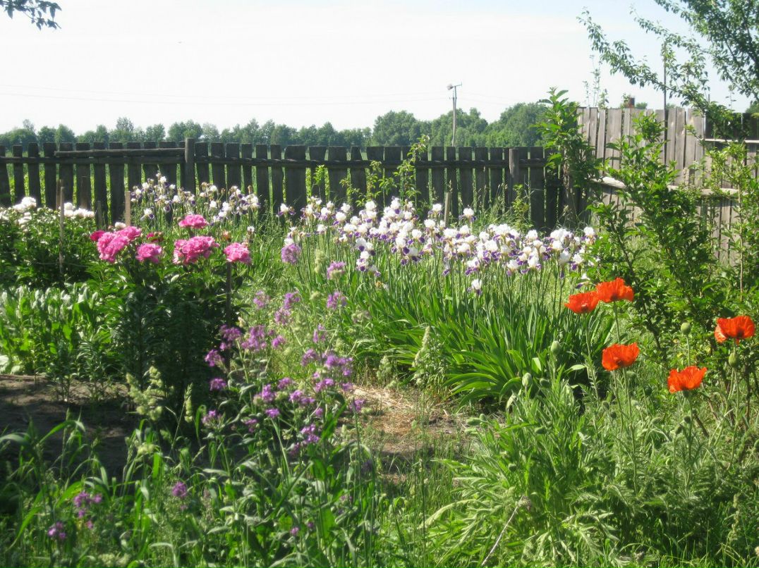 Оксана Гончарова | Санкт-Петербург