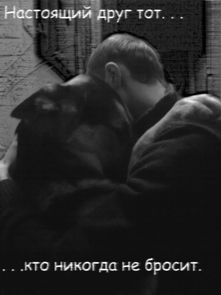 Стас Полянский | Курск