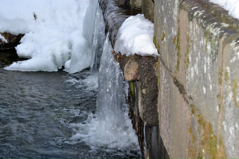 Stupid Chii | Санкт-Петербург