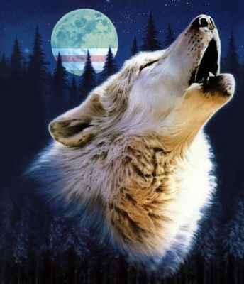 Андрей Хворов | 