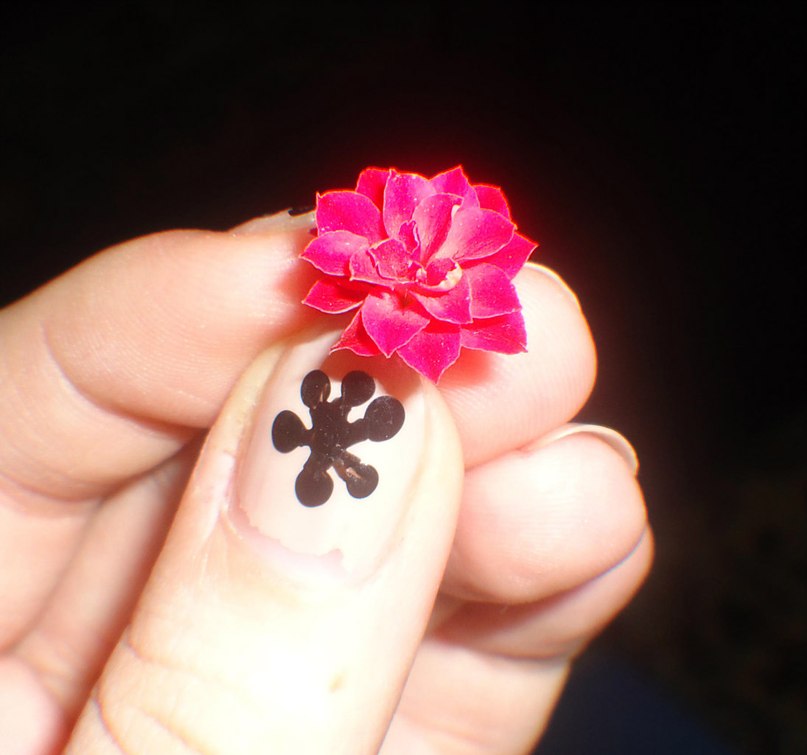 Alexandra Rogozhnikova | Атырау