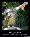 №32 Луиза Кациева 12.06: профиль, фото, статус - ВКонтакте №32 Луиза Кациева 12.06: профиль, фото, статус - ВКонтакте
