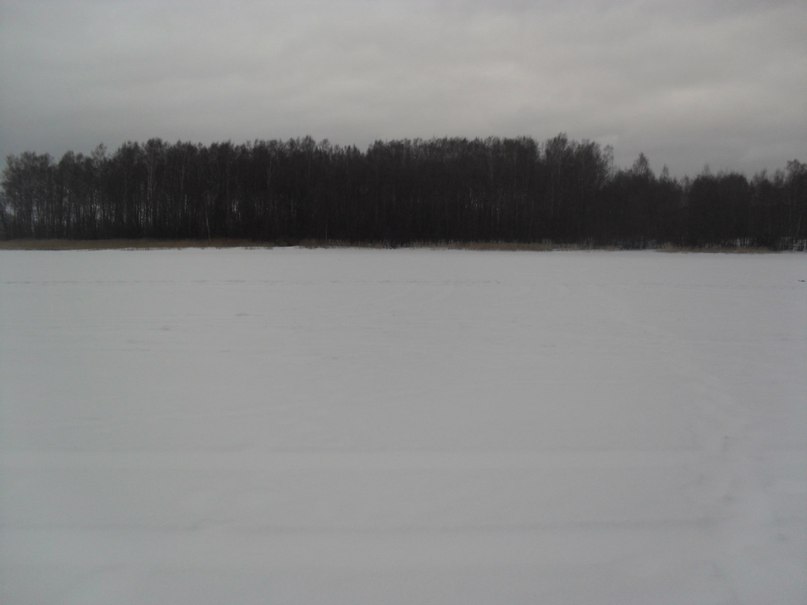 Дмитрий Рыжков | Москва