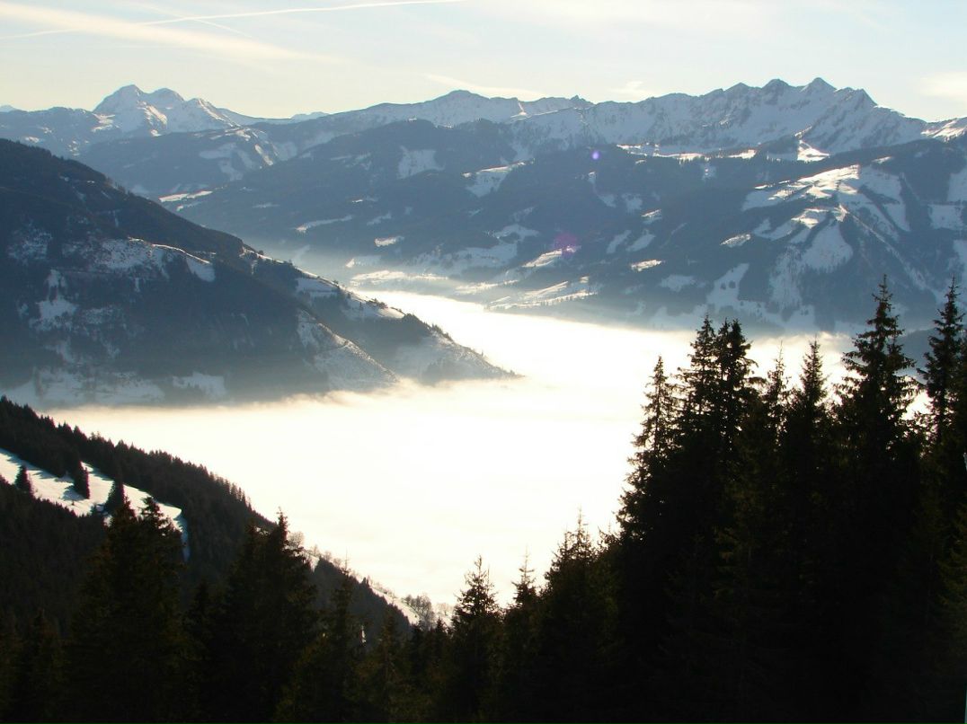 Роман Никитин | Москва