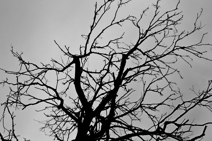 Денис Дианов | Москва