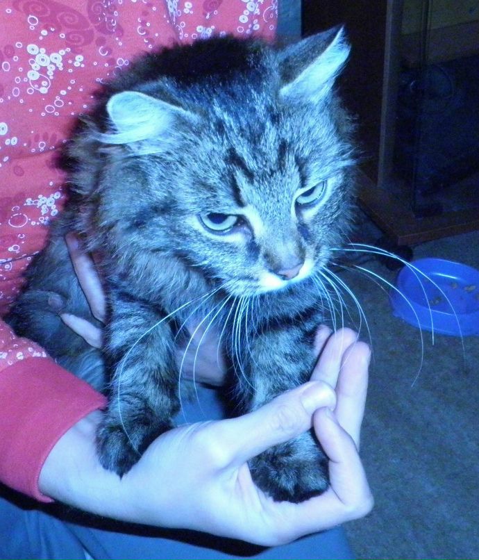 Дмитрий Ефимов | Санкт-Петербург