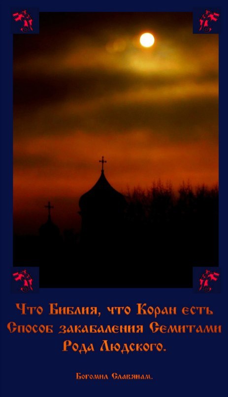 Святослав Орич | Санкт-Петербург