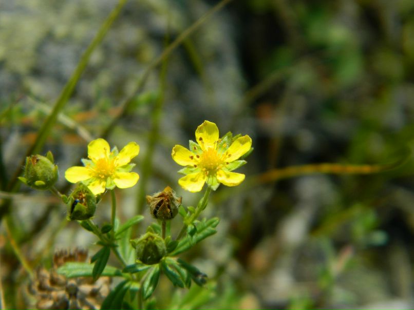 Яна Куклина Dance-Life | Мурманск