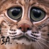 Аватар: Shura Котейкин