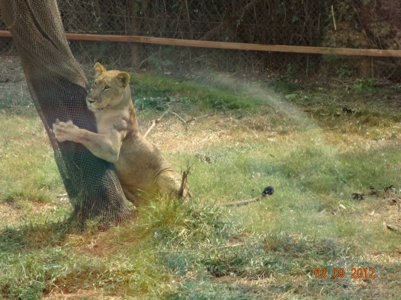 Светлана Степанова | Северодвинск