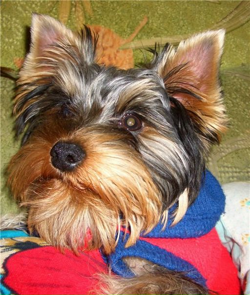 №21, Сергей Лопатюк, 50 лет, Санкт-Петербург №21, Сергей Лопатюк, 50 лет, Санкт-Петербург