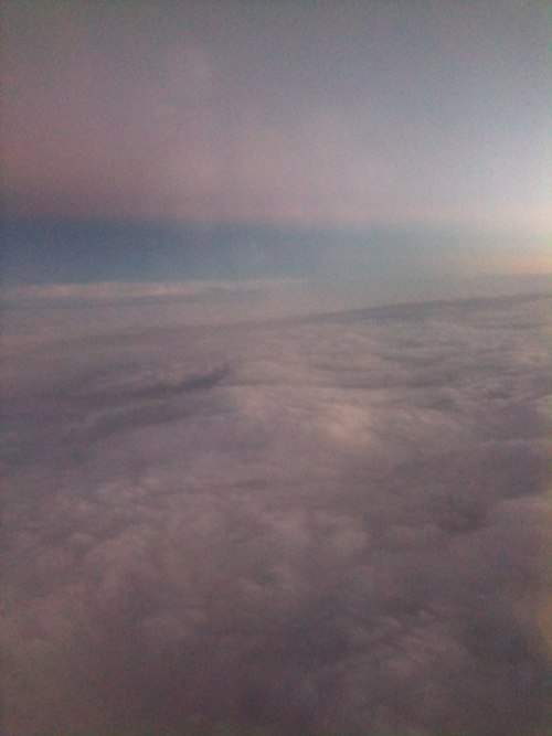 Илья Осипенков | 