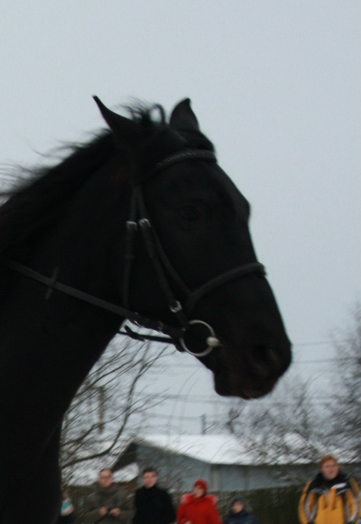 Наталья Давыдова | Санкт-Петербург