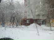 №1 Полина Быбина 14.01: профиль, фото, статус - ВКонтакте
