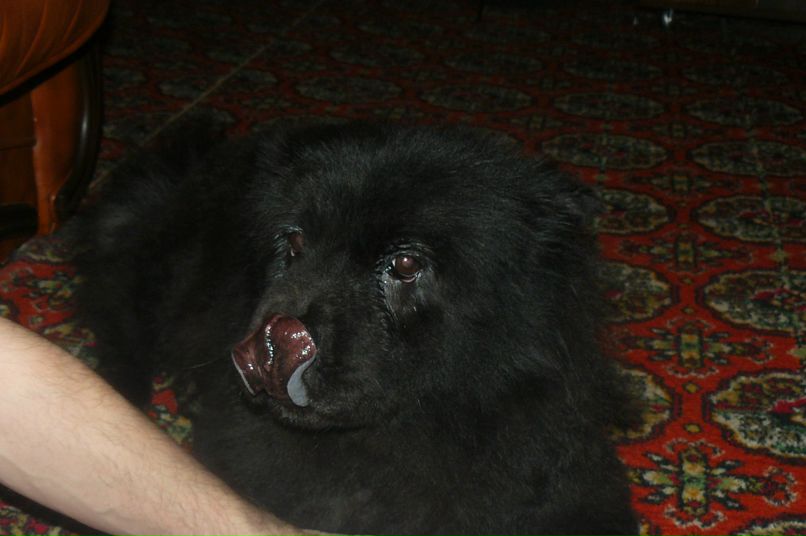 Станислав Казаков | Тула