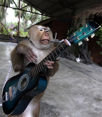 №2, Александра Капитальман, 37 лет, Киев №2, Александра Капитальман, 37 лет, Киев