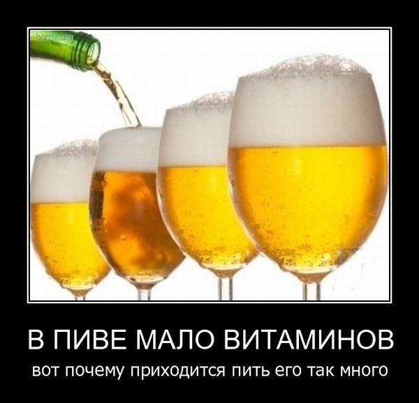 Илья Жамойдик | Красноярск