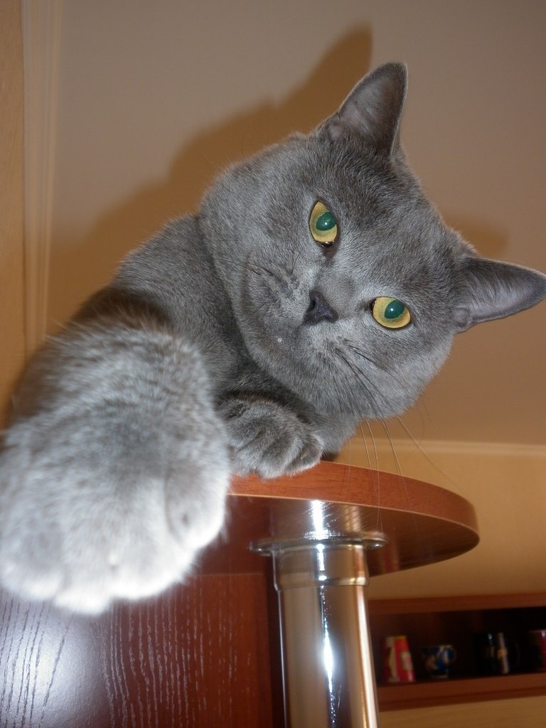 Николай Машуков | Красноярск