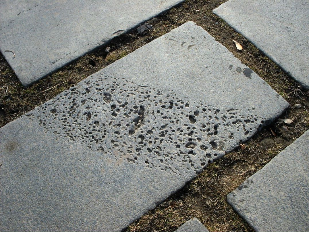 Анюта Маркелова PangoLin | Солнечногорск