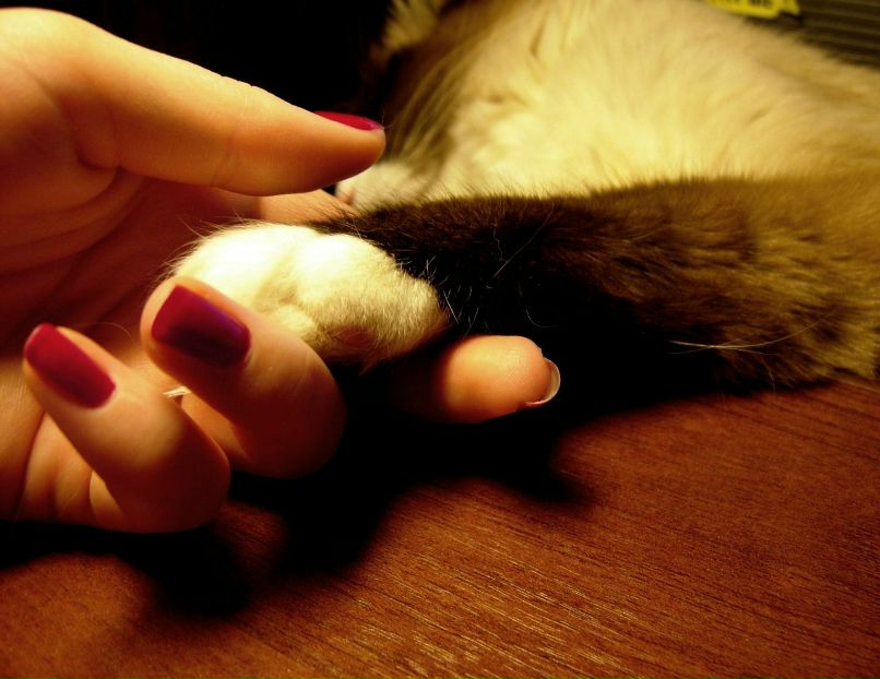 Викуля Шадрина | Москва