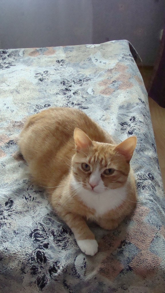 Елена Турчин | Санкт-Петербург