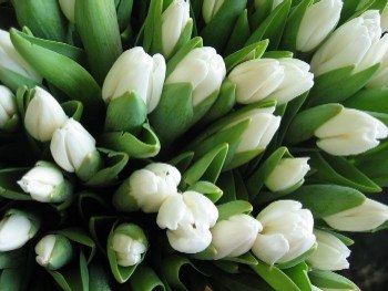 Роза Гаязутдинова | Зеленодольск