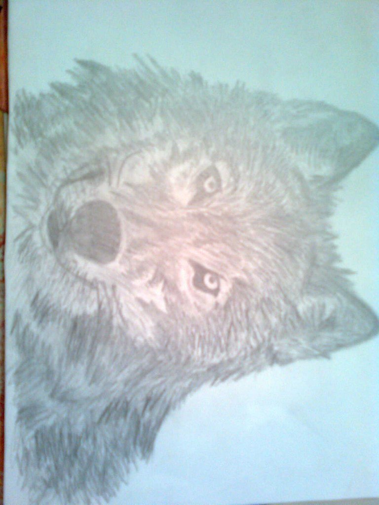 Мария Велесевич | Береза