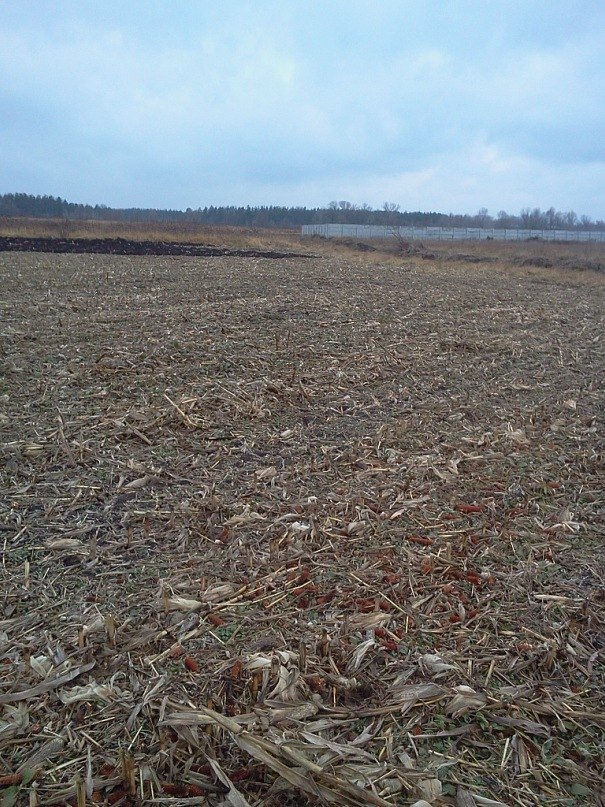 Евгений Солонин | 