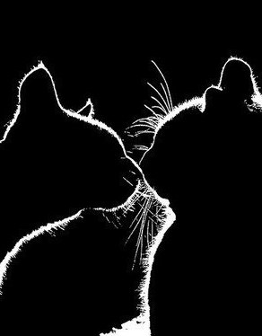 №68, Яна Фарафонова, Днепр (Днепропетровск) №68, Яна Фарафонова, Днепр (Днепропетровск)