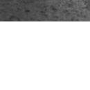 №110, Лильмо Хайбех, Луганск №110, Лильмо Хайбех, Луганск