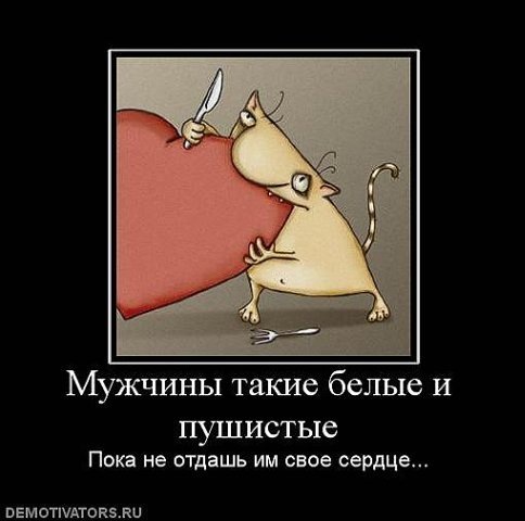 №25, Дарья Новикова №25, Дарья Новикова