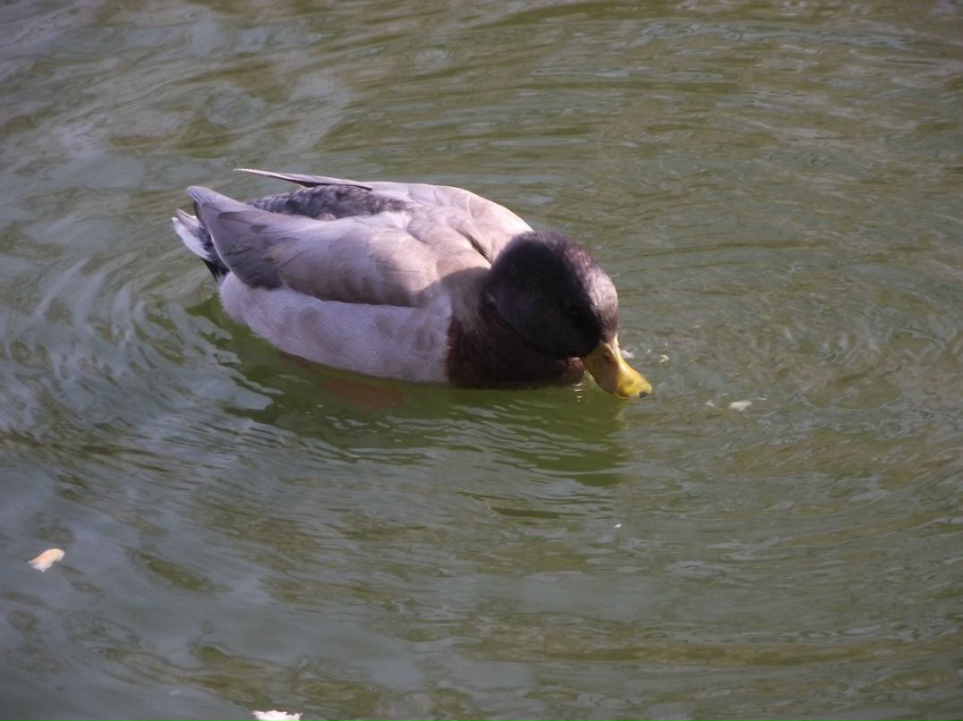 Маргарита Евдокимова | Краснодар