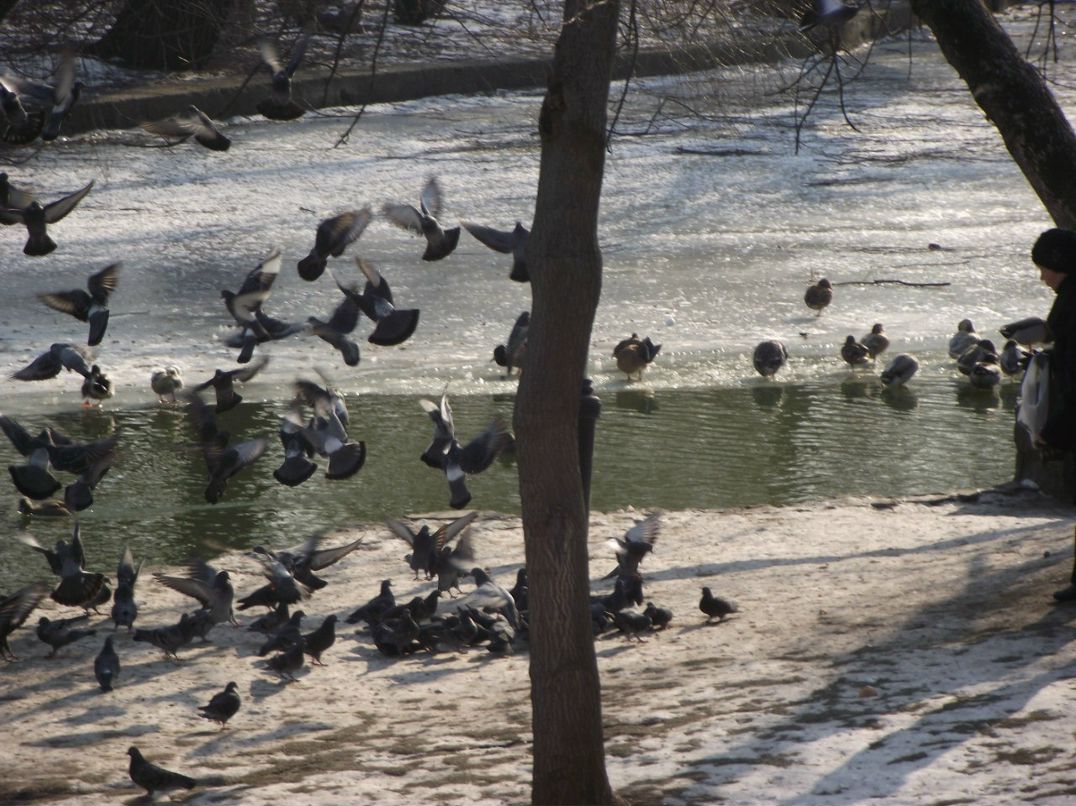 Маргарита Евдокимова | Краснодар