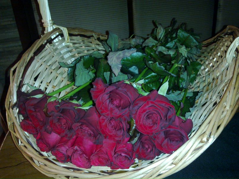 Федор Косач | Харьков