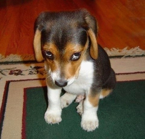 Антон Осипов | Санкт-Петербург