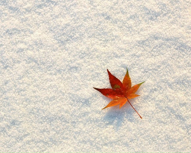 Dim On | Полтава