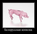 Фотография Пышенко Владимира