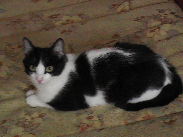 Екатерина Воробьёва | 