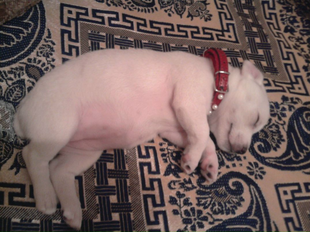 Мария Попова | Набережные Челны