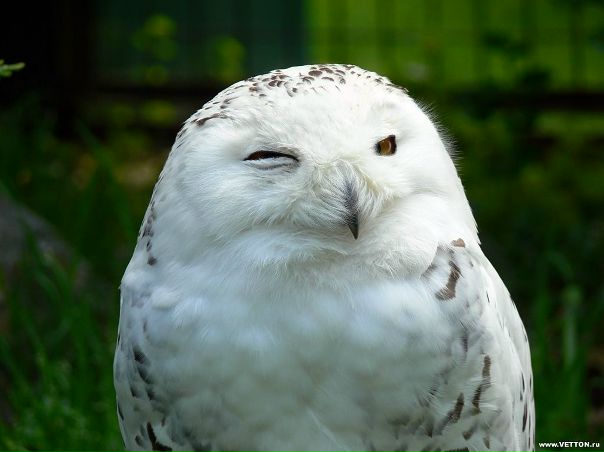 №16, Алексей Пак, Алматы, Казахстан №16, Алексей Пак, Алматы, Казахстан