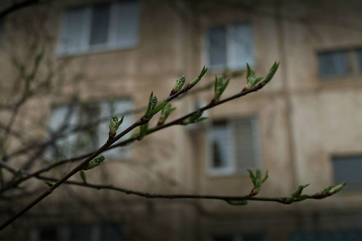 Александр Морозов | Москва