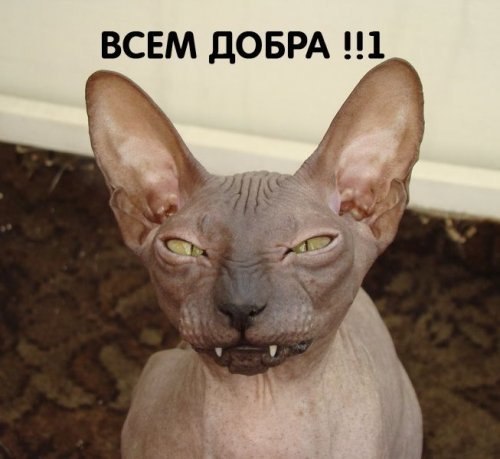 Елена Иванова | Москва