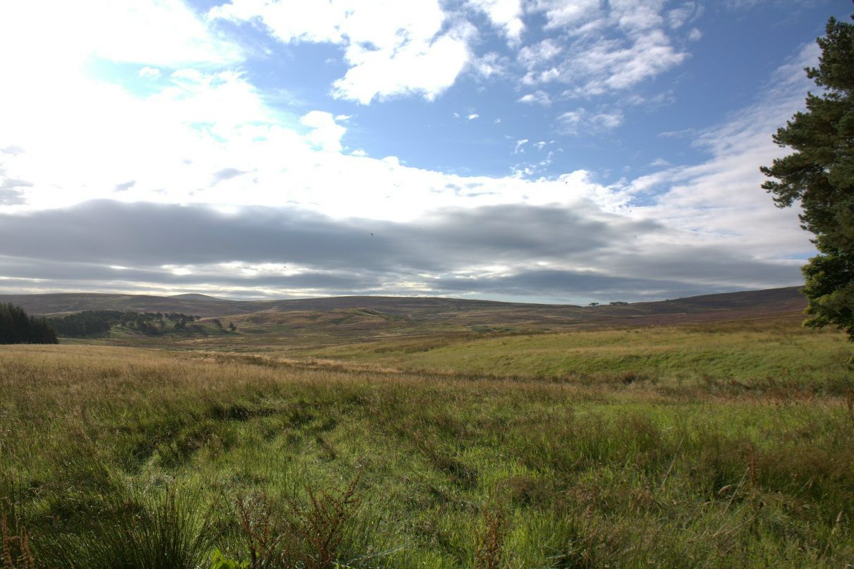 Serega Peus Nova[S] | Jyväskylä