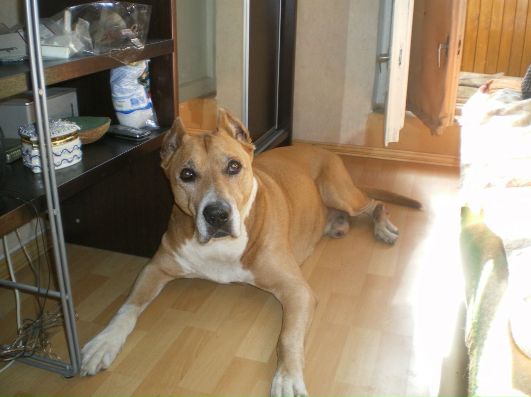 Станислав Гирский | Санкт-Петербург