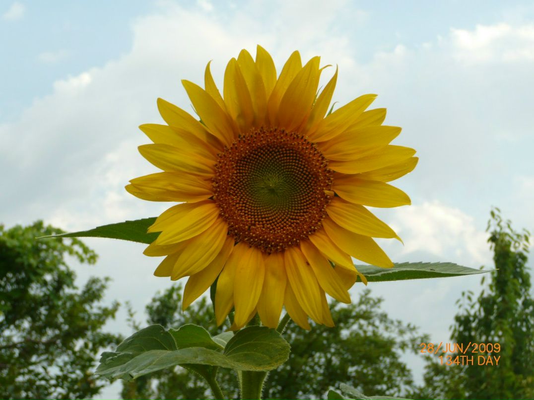 Кристина Литвиненко | Красноярск