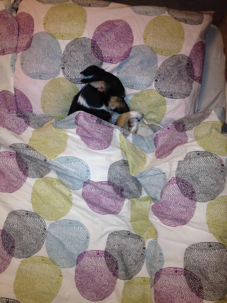 Ксения Кокунова | Москва