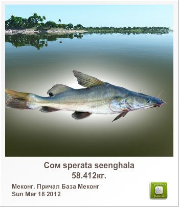 Анатолий Губарев | Краснодар