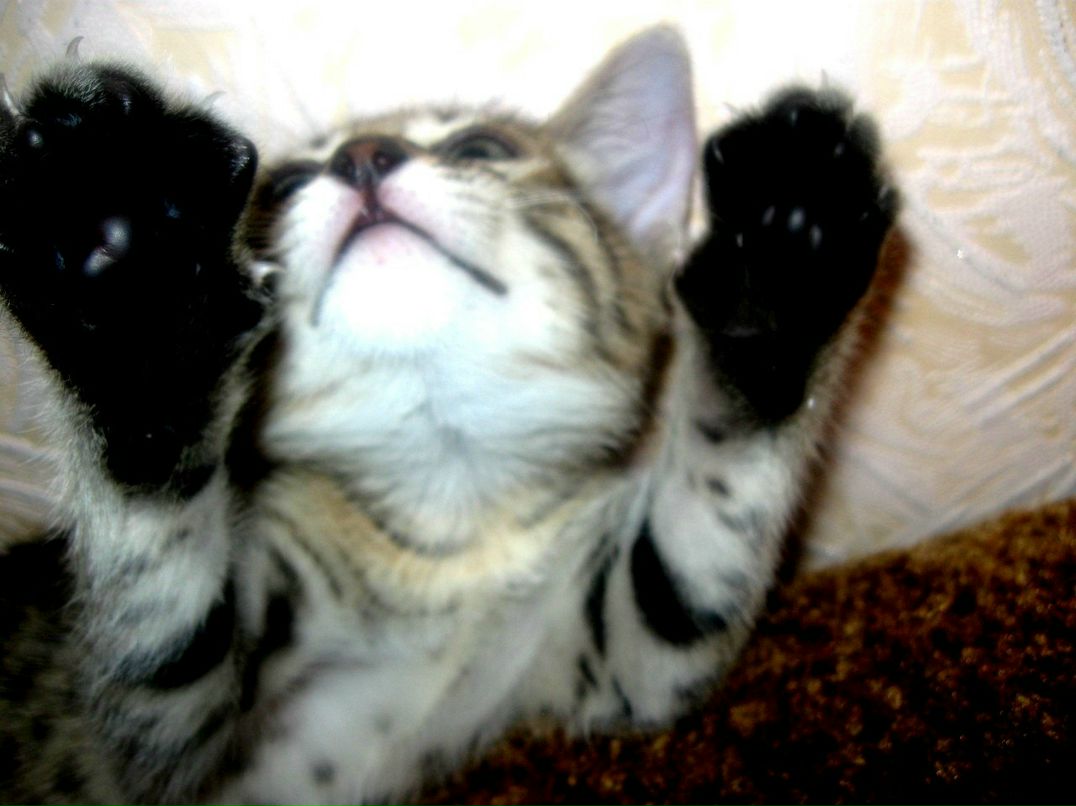 Руслан Алексеевич | Красноярск