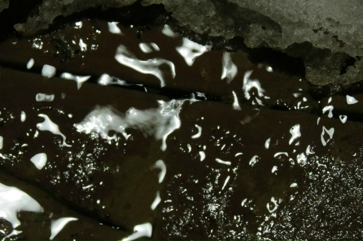 Анастасия Федотова | Москва